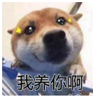 blob.png blob.png